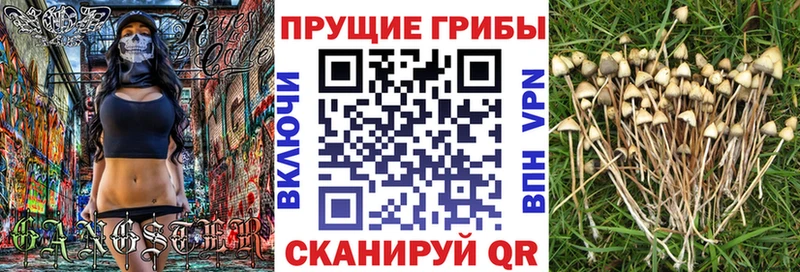 Псилоцибиновые грибы MAGIC MUSHROOMS  купить   Наволоки 